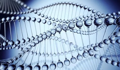 基因療法點亮黑暗 陳根四十年后重獲視力的科技突破與非常規水源利用技術的研發啟示
