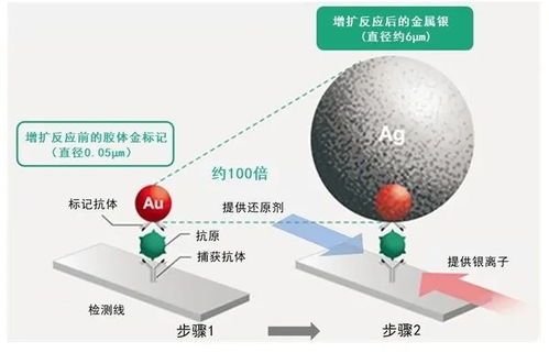 富士膠片開發高靈敏新冠檢測試劑盒 銀擴增技術的技術創新與水源領域的交叉應用